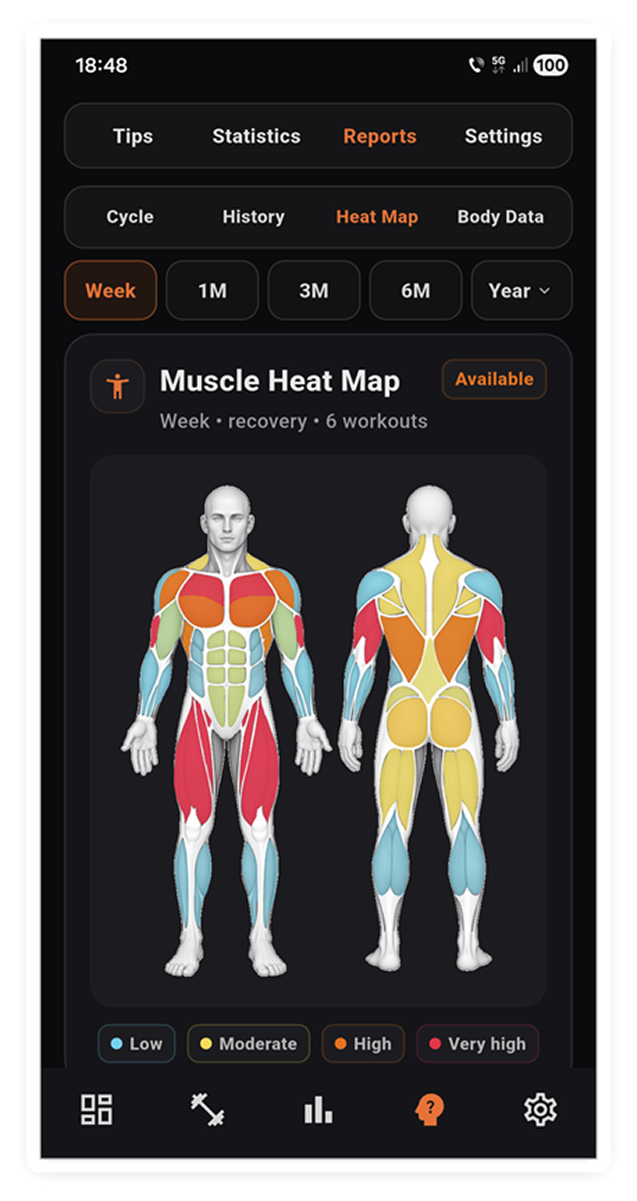 GymRiff muscle heat map showing training balance across muscle groups